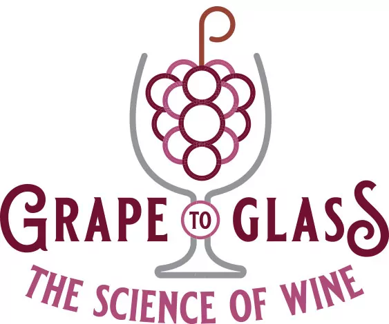 Grape to Glass: The Science of Wine