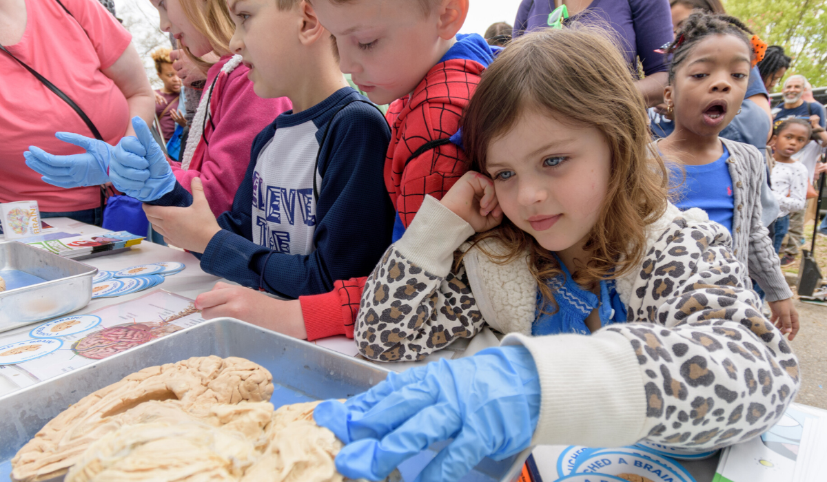 Atlanta Area Stem Summer Camps Science Atl