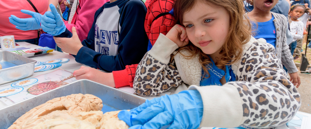 Atlanta Area Stem Summer Camps Science Atl