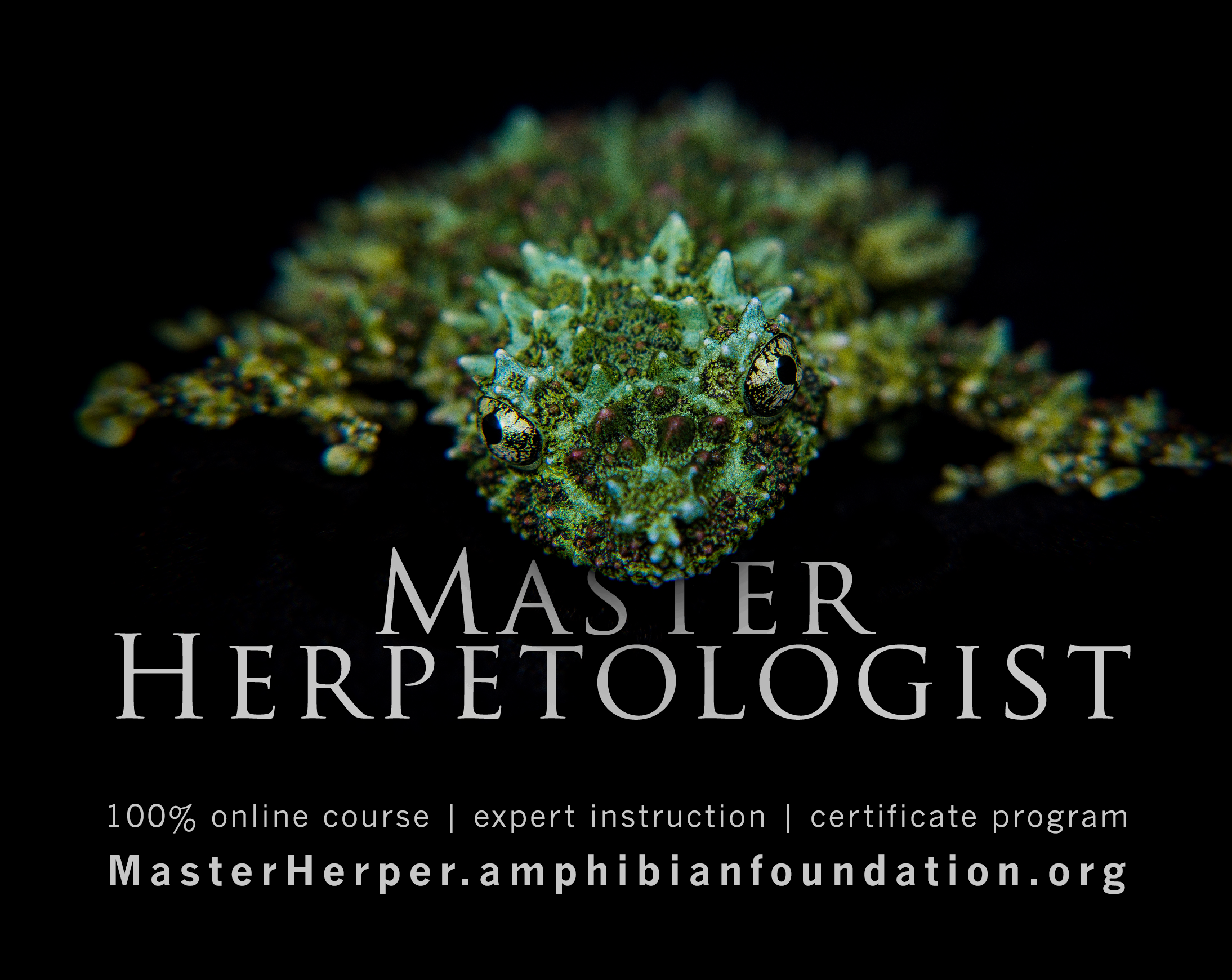 Master Herpetologist Program - Online! - Science ATL