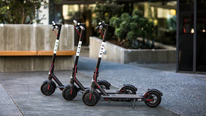 Three Bird scooters parked in a row