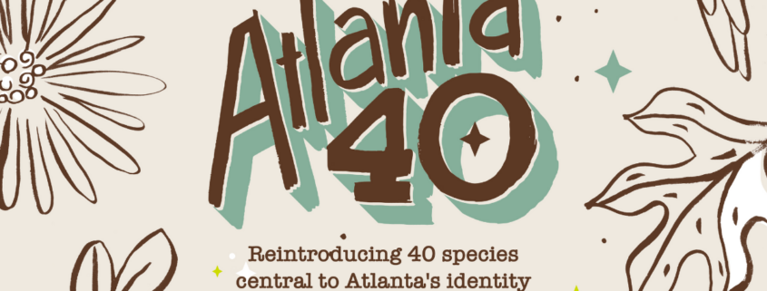 Atlanta 40