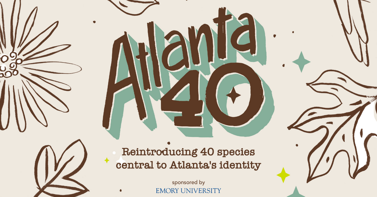 Atlanta 40