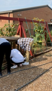 CSOs at Global Impact Academy took their first steps to addressing food deserts in their community by building a school garden and outdoor learning space.