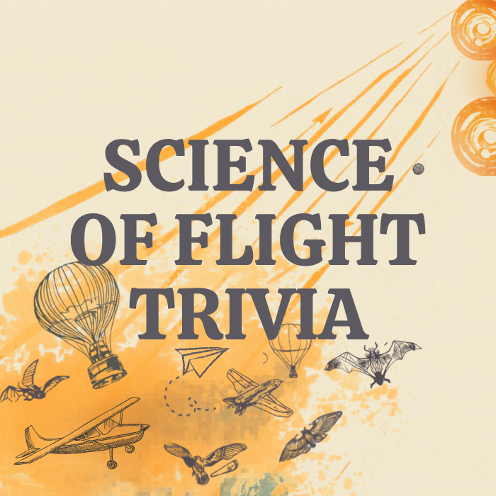 Flight trivia-resize (1)